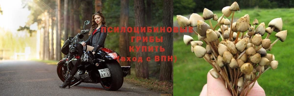 амф Киренск