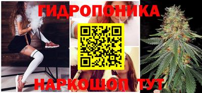 Альфа ПВП Беслан