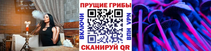 где продают   Грозный  Галлюциногенные грибы Magic Shrooms 