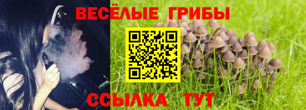 Псилоцибиновые грибы мухоморы  Галлюциногенные грибы мицелий  Вход с VPN  Грозный 