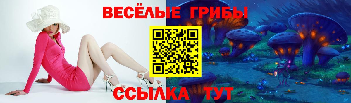 Псилоцибиновые грибы Psilocybine cubensis Грозный